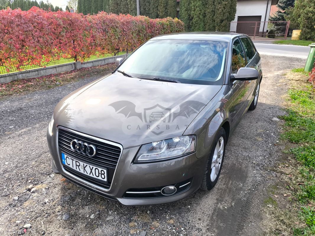 Audi A3 8P 1.6 Ambition 2010
