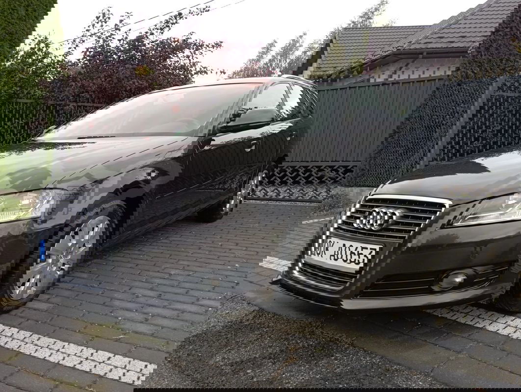 Audi A3 8P 1.6 Attraction 2009