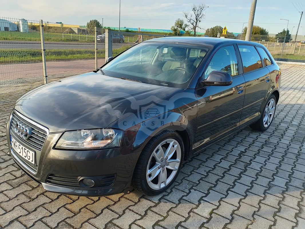 Audi A3 8P 2010
