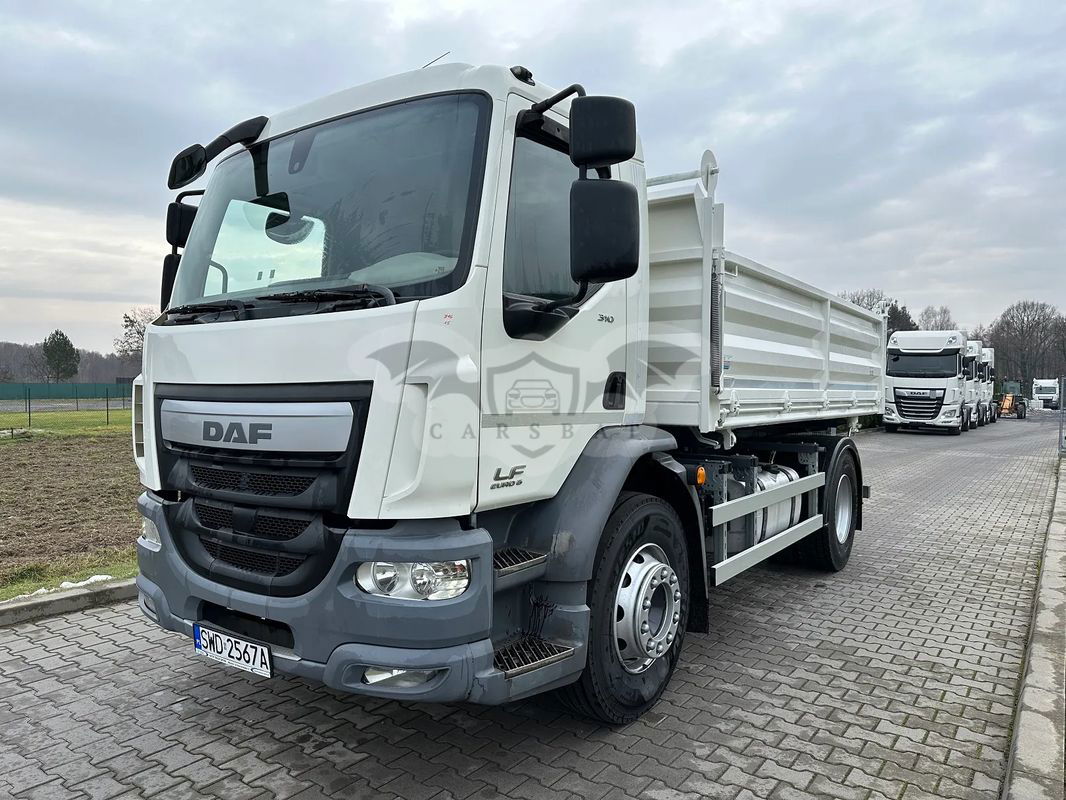 DAF LF 2015