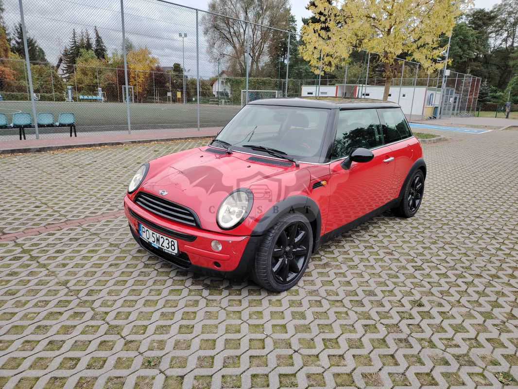 Mini One D salt 2004