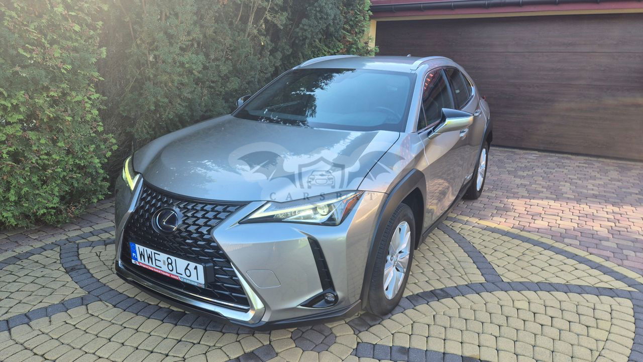 Lexus UX 250h Business Edition 2020