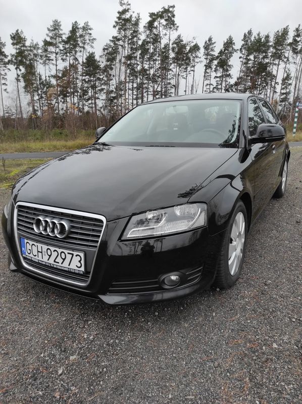 Audi A3 8P 2009
