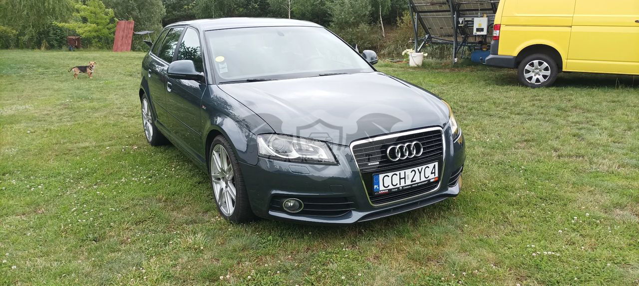 Audi A3 8P 2.0 TDI DPF Quattro Ambiente 2010
