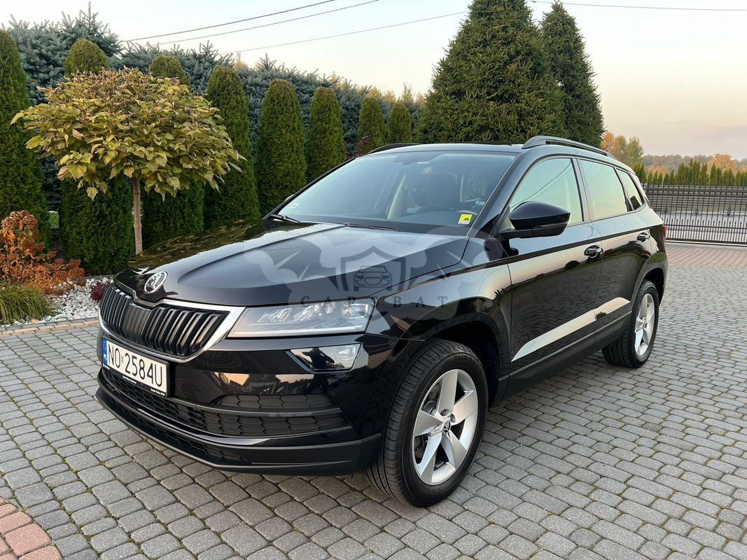 Skoda Karoq 2.0 TDI SCR 4x4 Ambition DSG 2019