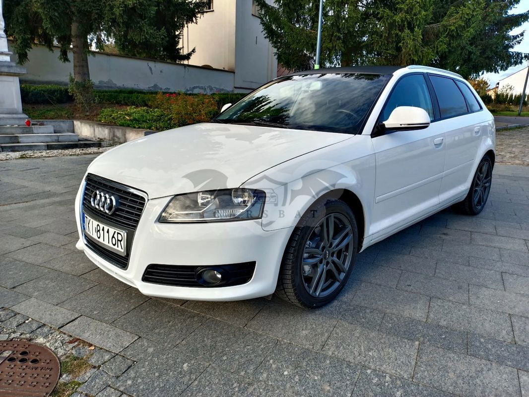 Audi A3 8P 1.4 TFSI Sportback Ambition 2010