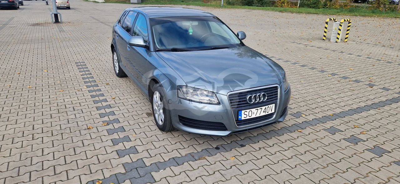 Audi A3 8P 1.6 TDI DPF Ambiente 2010