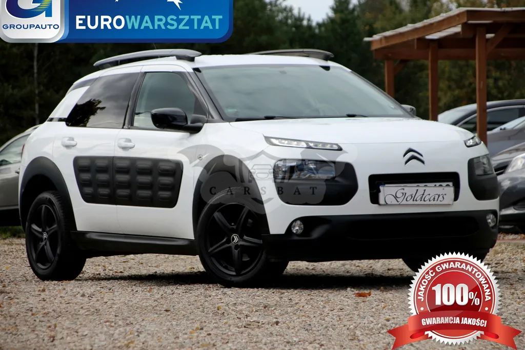 Citroën C4 Cactus BlueHDi 100 Stop&Start Live 2015