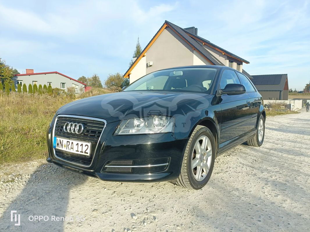 Audi A3 8P 1.6 Attraction 2010