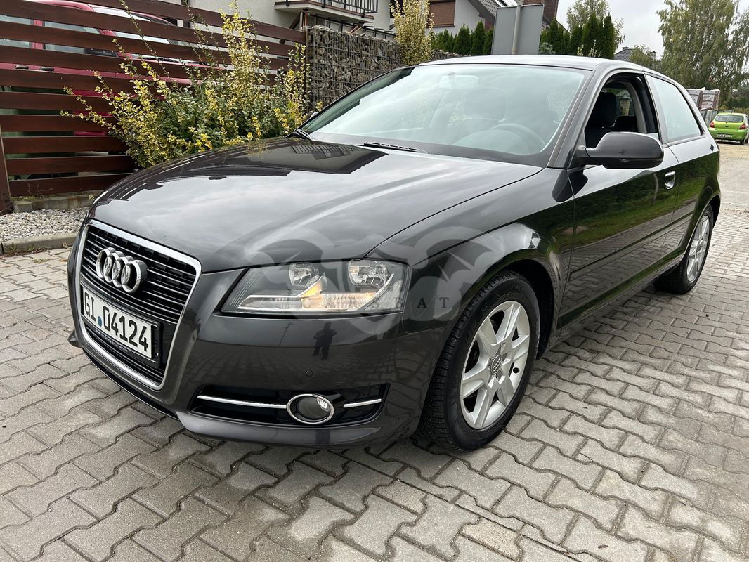 Audi A3 8P 1.6 TDI Attraction 2010