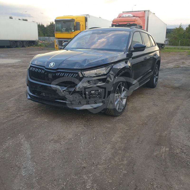 Skoda Kodiaq I 2.0 TDI 4x4 DSG Sportline 2024