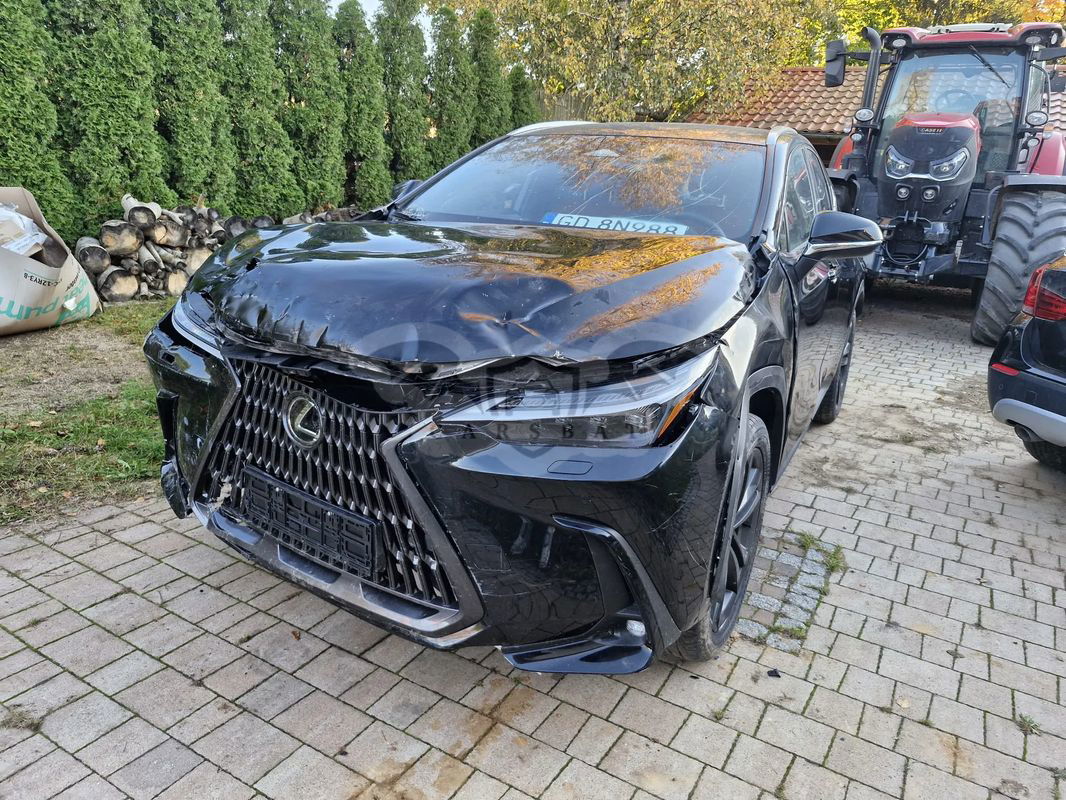 Lexus NX II 350h Omotenashi AWD 2024