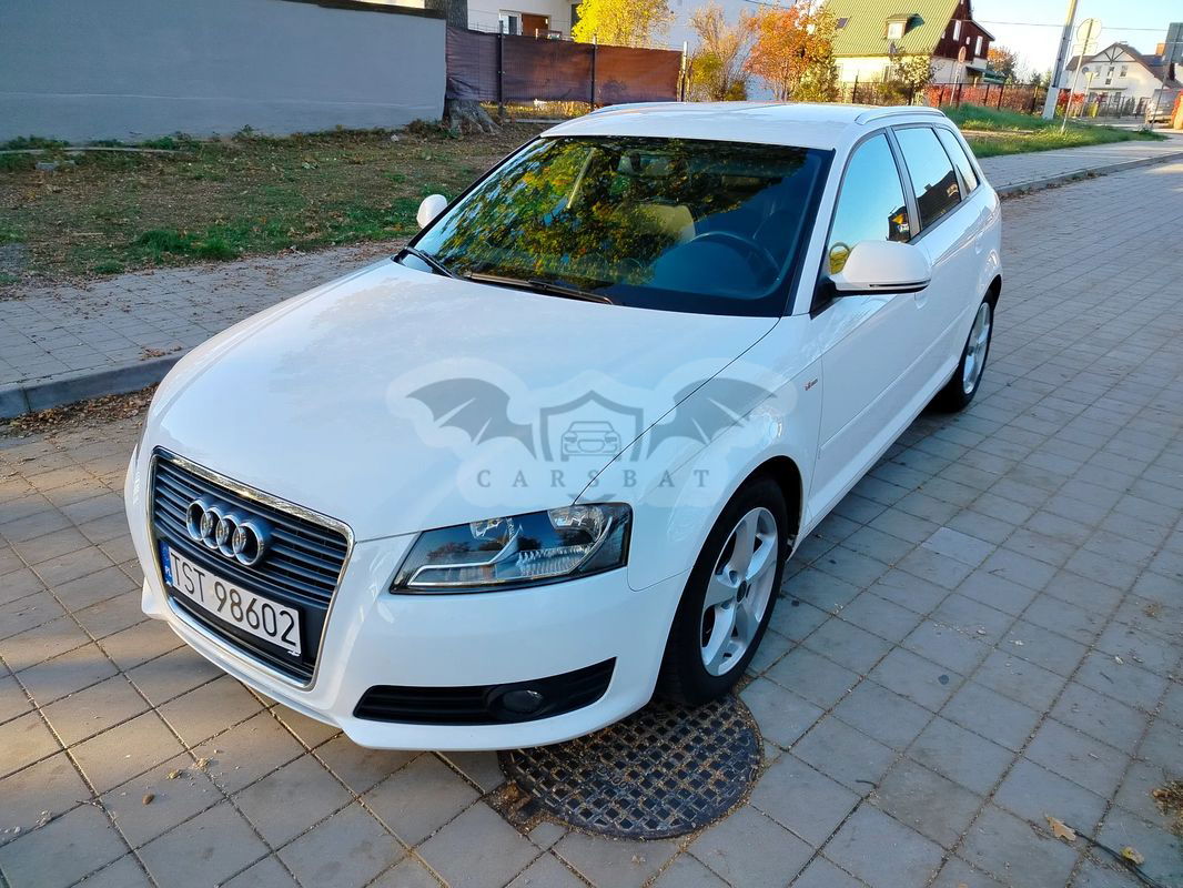 Audi A3 8P 2009