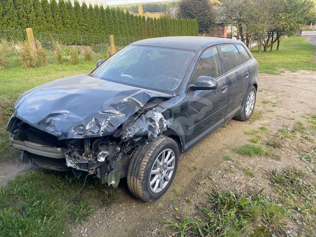 Audi A3 8P 1.6 TDI DPF Ambiente 2009