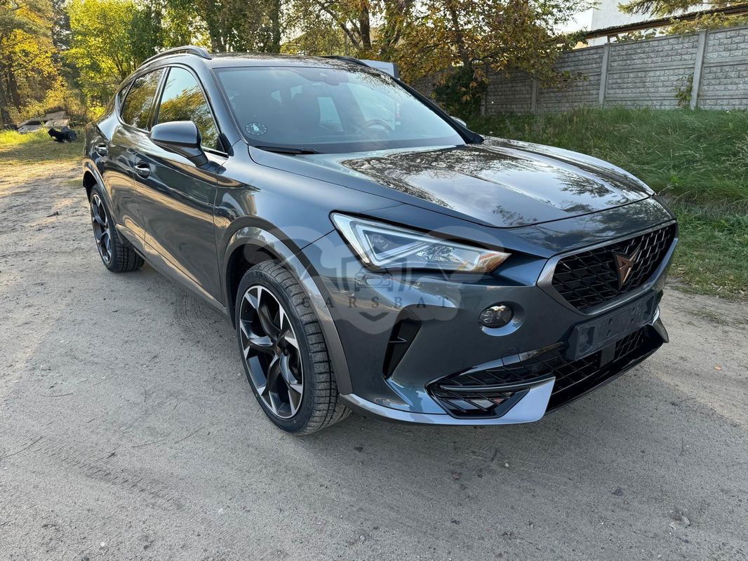 Cupra Formentor 2.0 TSI 4Drive DSG 2023