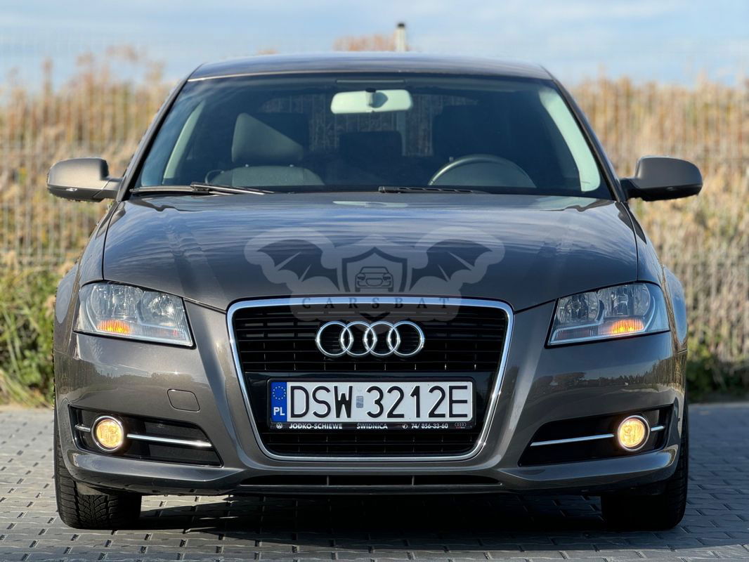 Audi A3 8P 1.6 TDI DPF Ambiente 2010