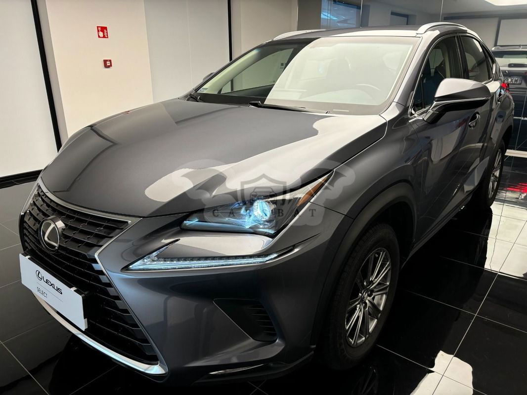 Lexus NX I 300 Elegance Optimum AWD 2017