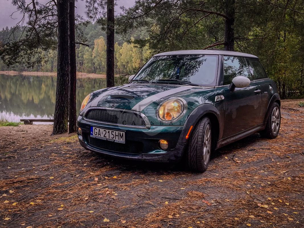 Mini Cooper Standard 2009