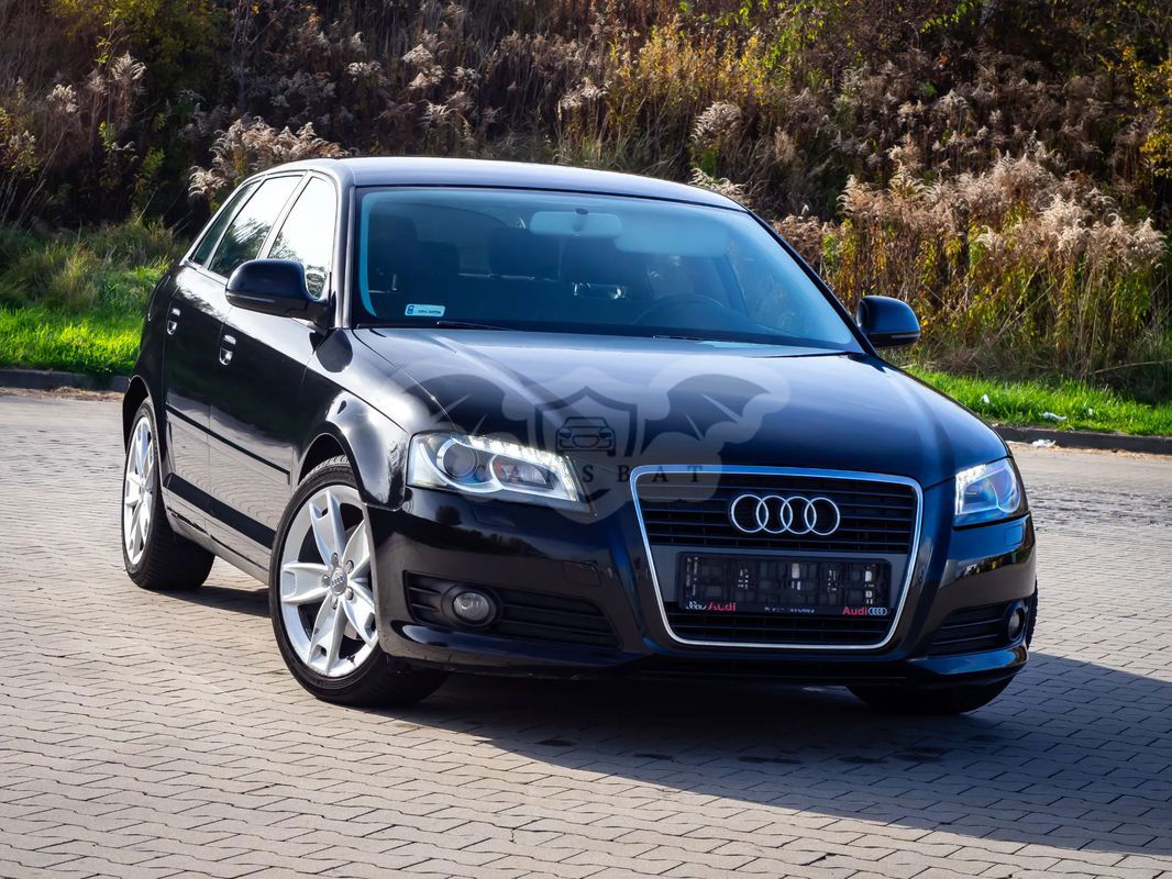 Audi A3 8P 2.0 TDI DPF Attraction 2009