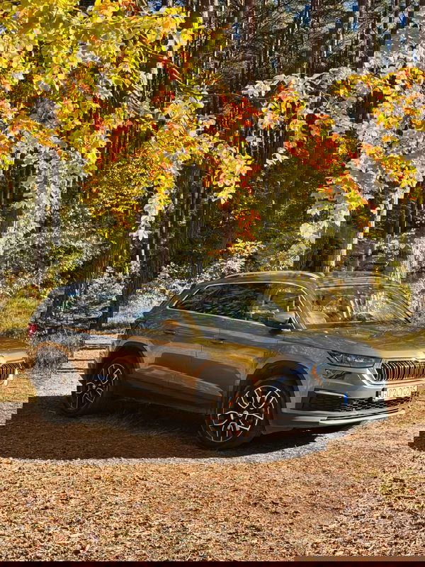 Skoda Kodiaq I 2.0 TSI 4x4 Style DSG 2022