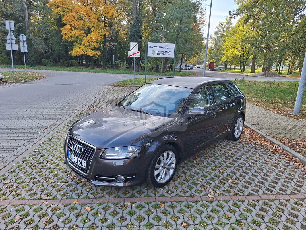 Audi A3 8P 2010