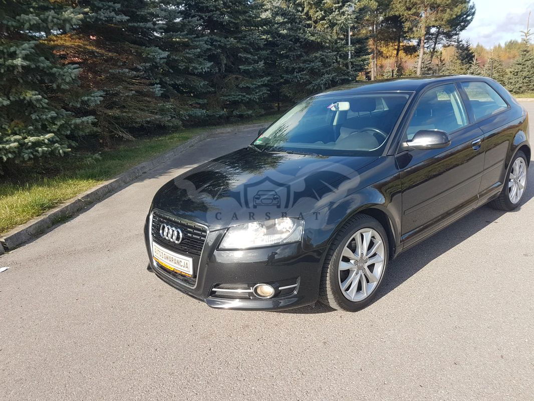 Audi A3 8P 2010