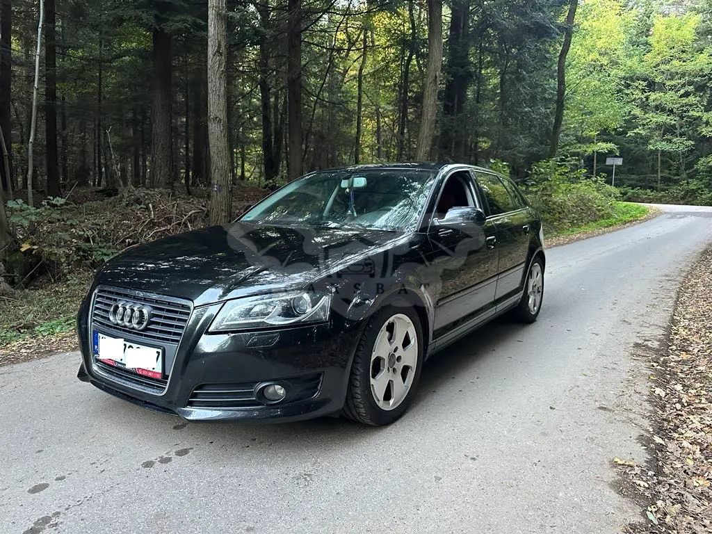 Audi A3 8P 1.6 TDI DPF Attraction 2010