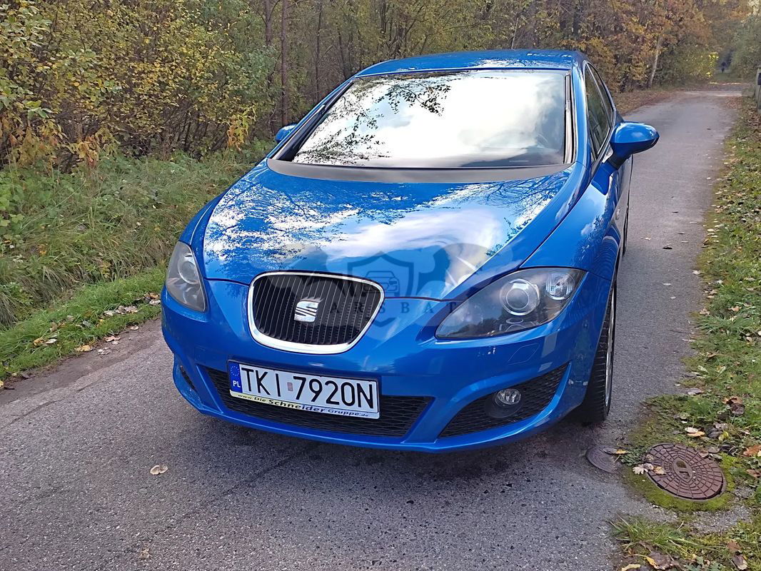 Seat Leon II 2011
