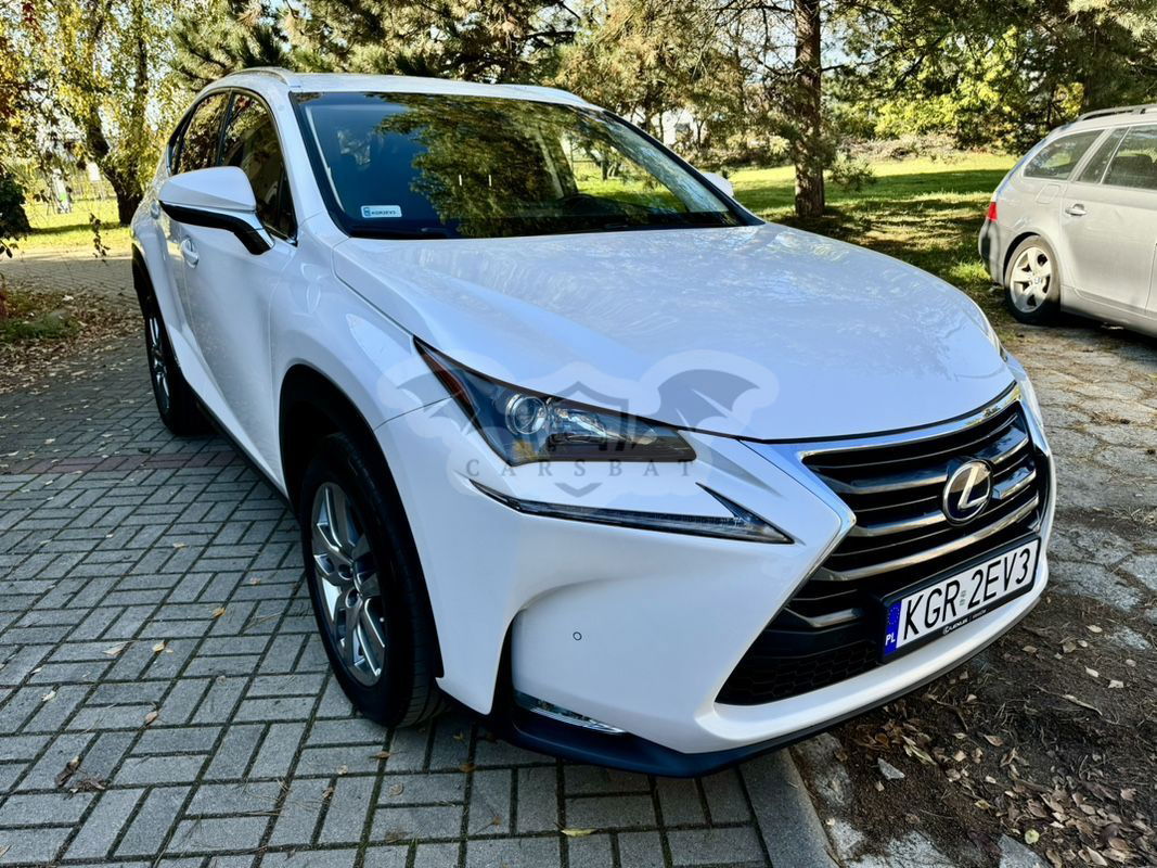 Lexus NX I 300h Business Line 2017
