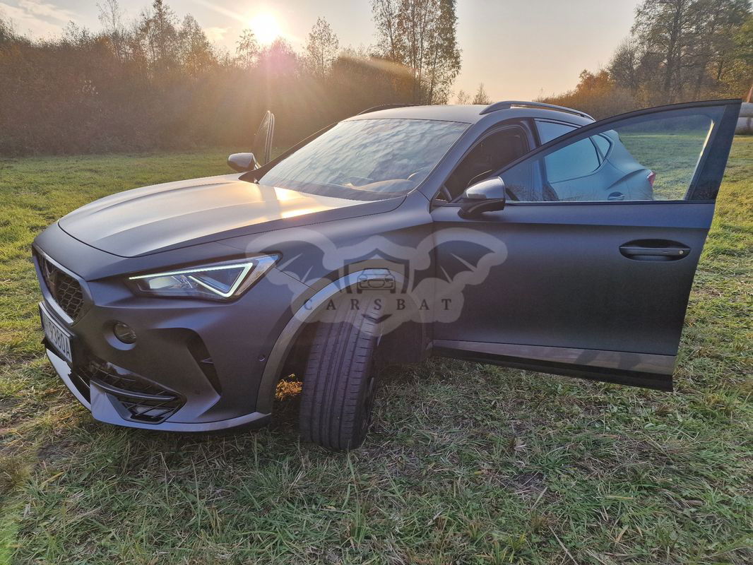 Cupra Formentor 2.0 TSI 4Drive DSG 2023