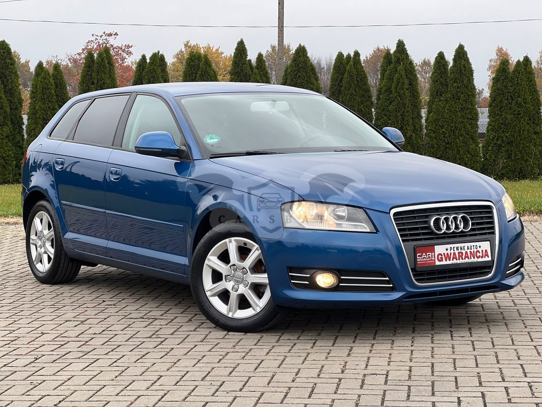 Audi A3 8P 1.6 Attraction 2010
