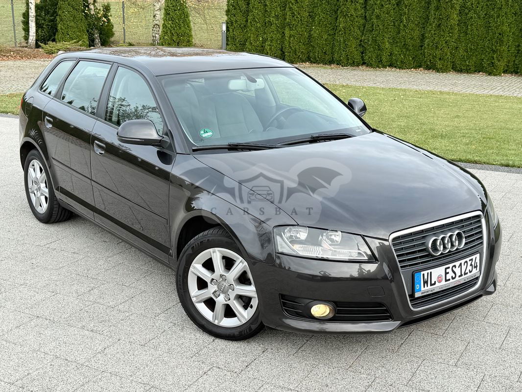 Audi A3 8P 1.6 TDI Sportback Ambition 2010