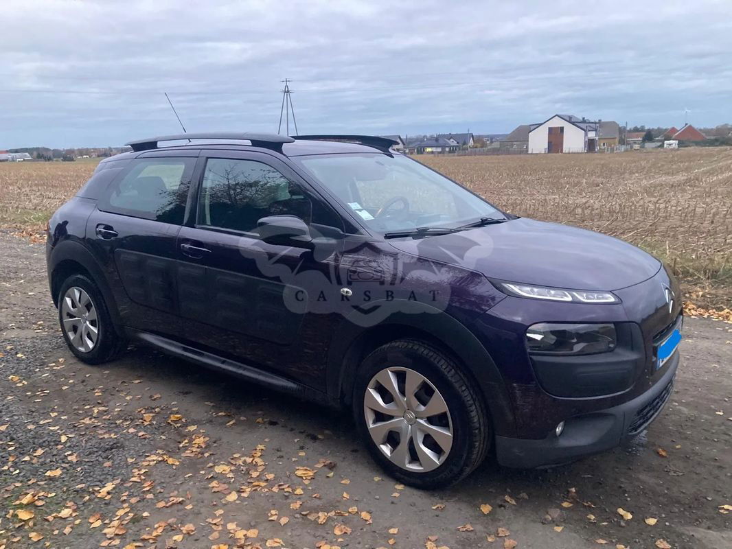 Citroën C4 Cactus BlueHDi 100 Stop&Start Business Class 2015