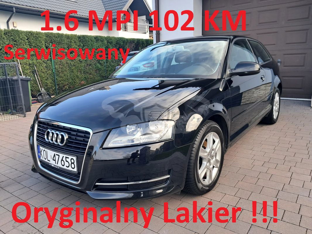 Audi A3 8P 1.6 Attraction 2010