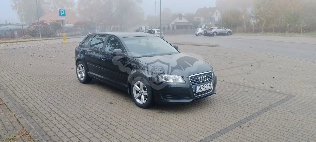 Audi A3 8P 1.6 TDI DPF Ambiente 2010
