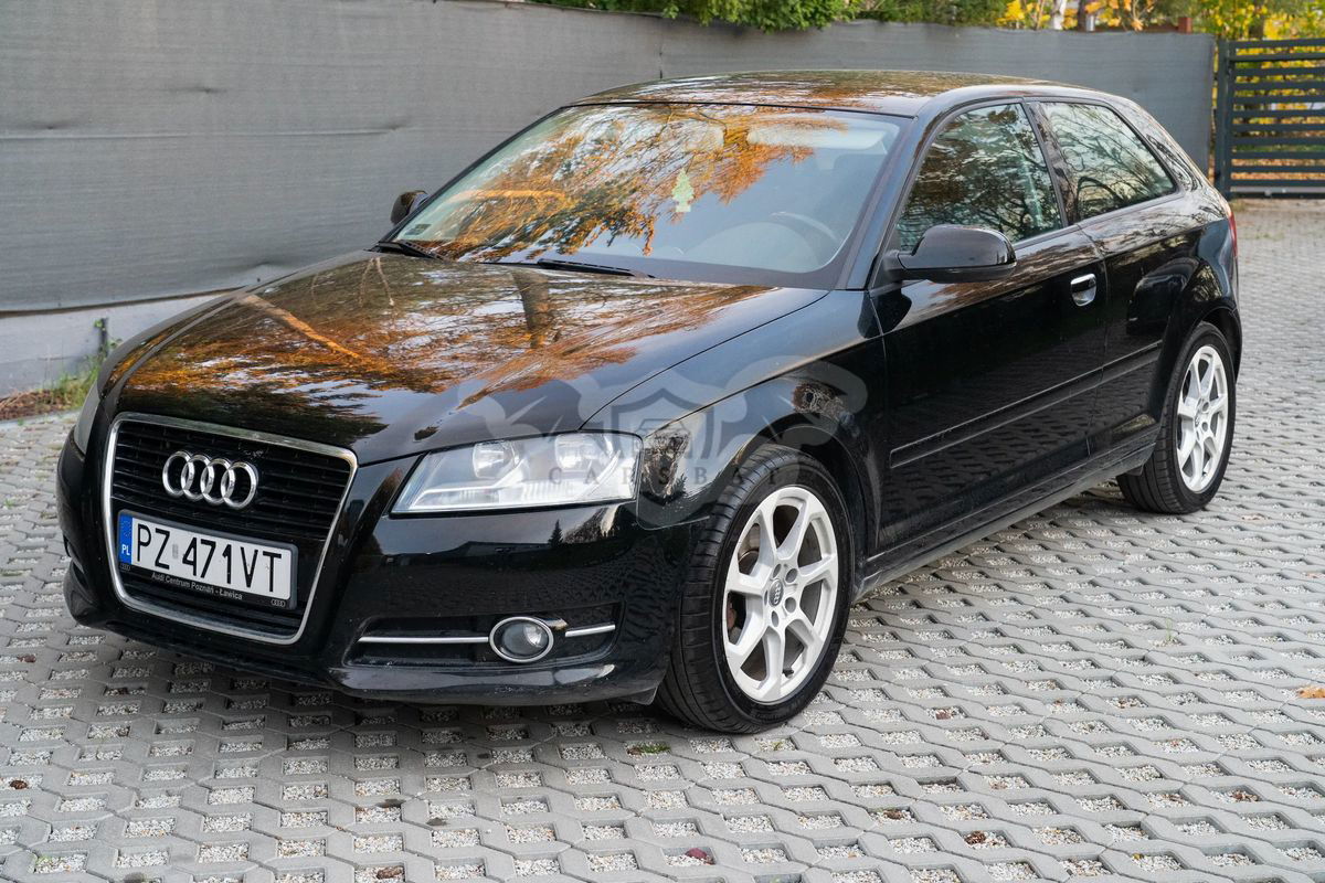 Audi A3 8P 1.6 TDI DPF Ambition 2010