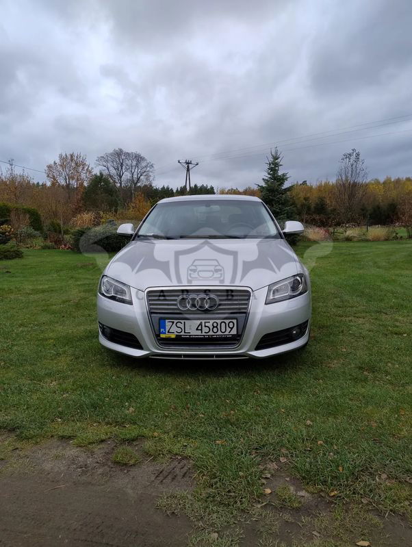 Audi A3 8P 2.0 TDI Ambition 2009