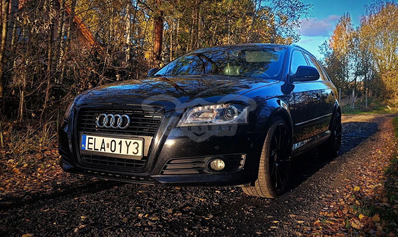 Audi A3 8P 2010