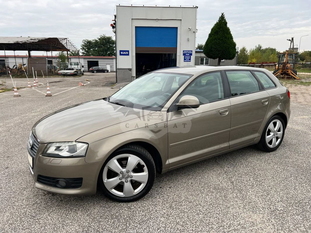 Audi A3 8P 1.9 TDI Sportback DPF Ambition 2009