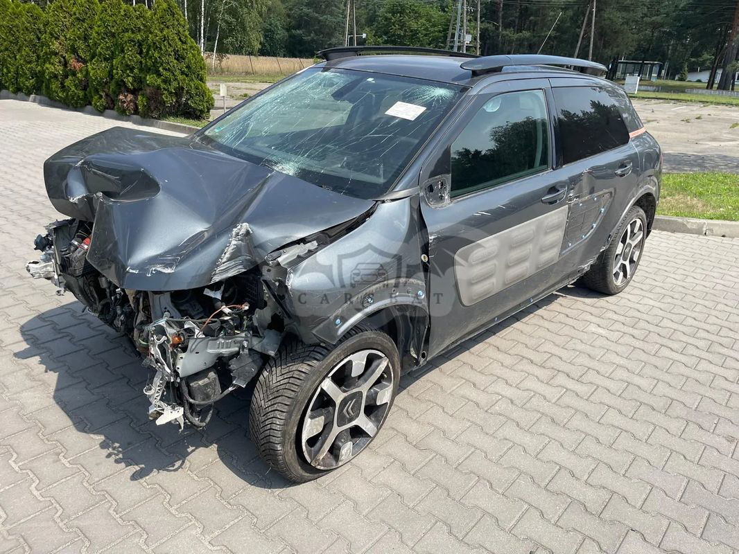 Citroën C4 Cactus 2015