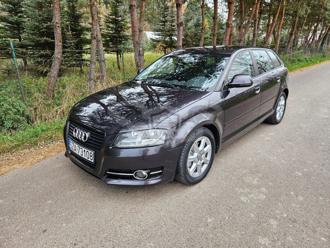 Audi A3 8P 2.0 TDI DPF Attraction 2010