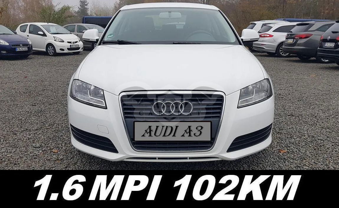 Audi A3 8P 1.6 Ambiente 2009
