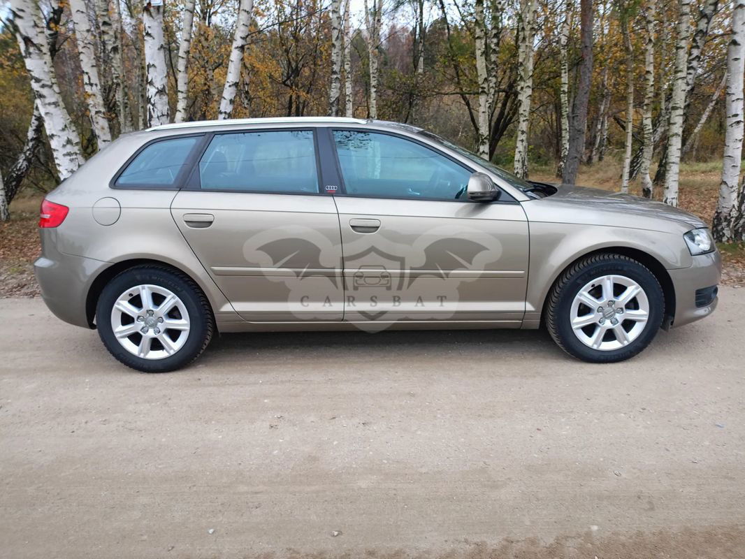Audi A3 8P 1.6 Ambition 2009