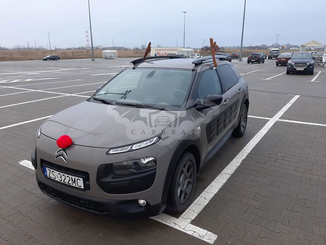 Citroën C4 Cactus 2015