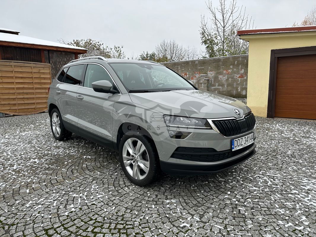 Skoda Karoq 2019