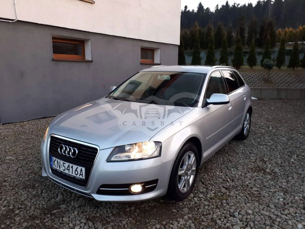 Audi A3 8P 1.6 TDI DPF Ambition 2010