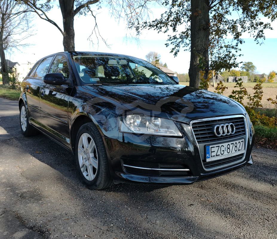 Audi A3 8P 2010
