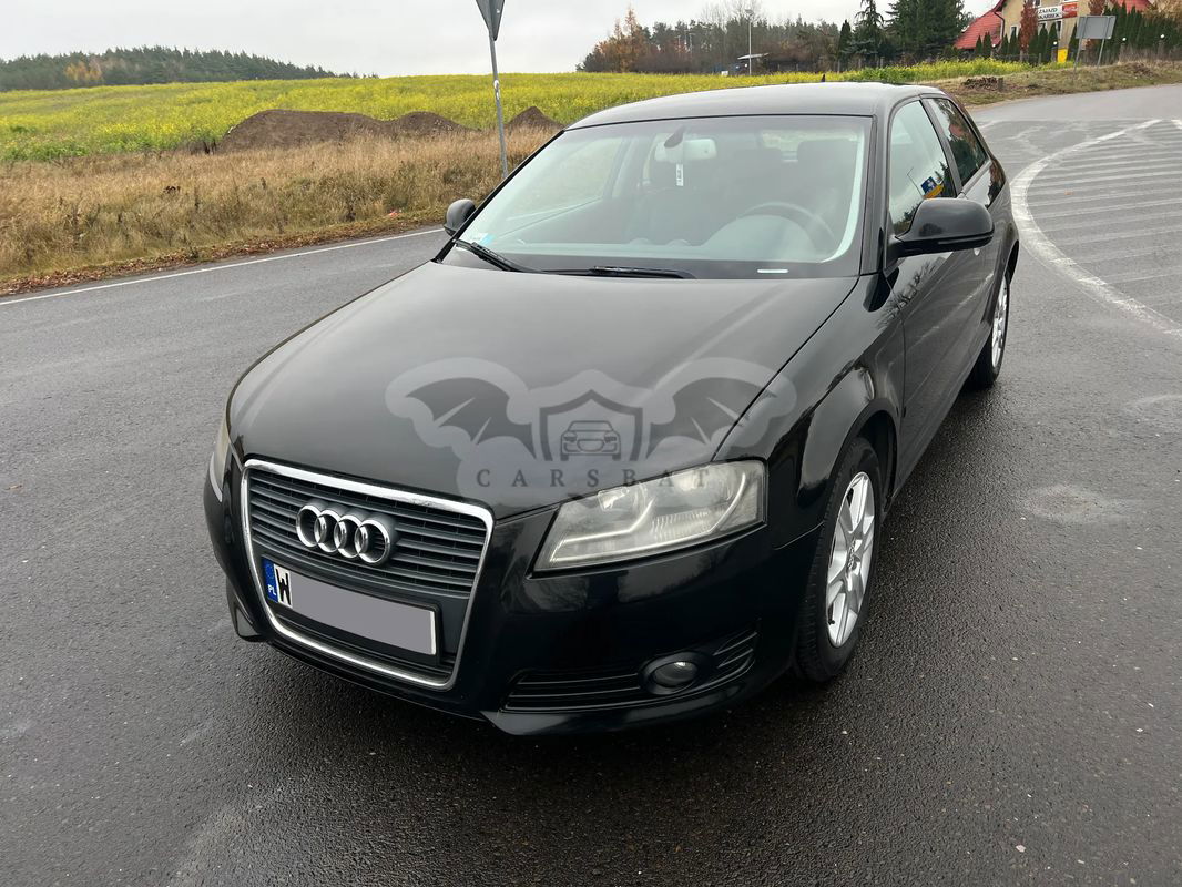 Audi A3 8P 1.9 TDI DPF Ambiente S tronic 2009