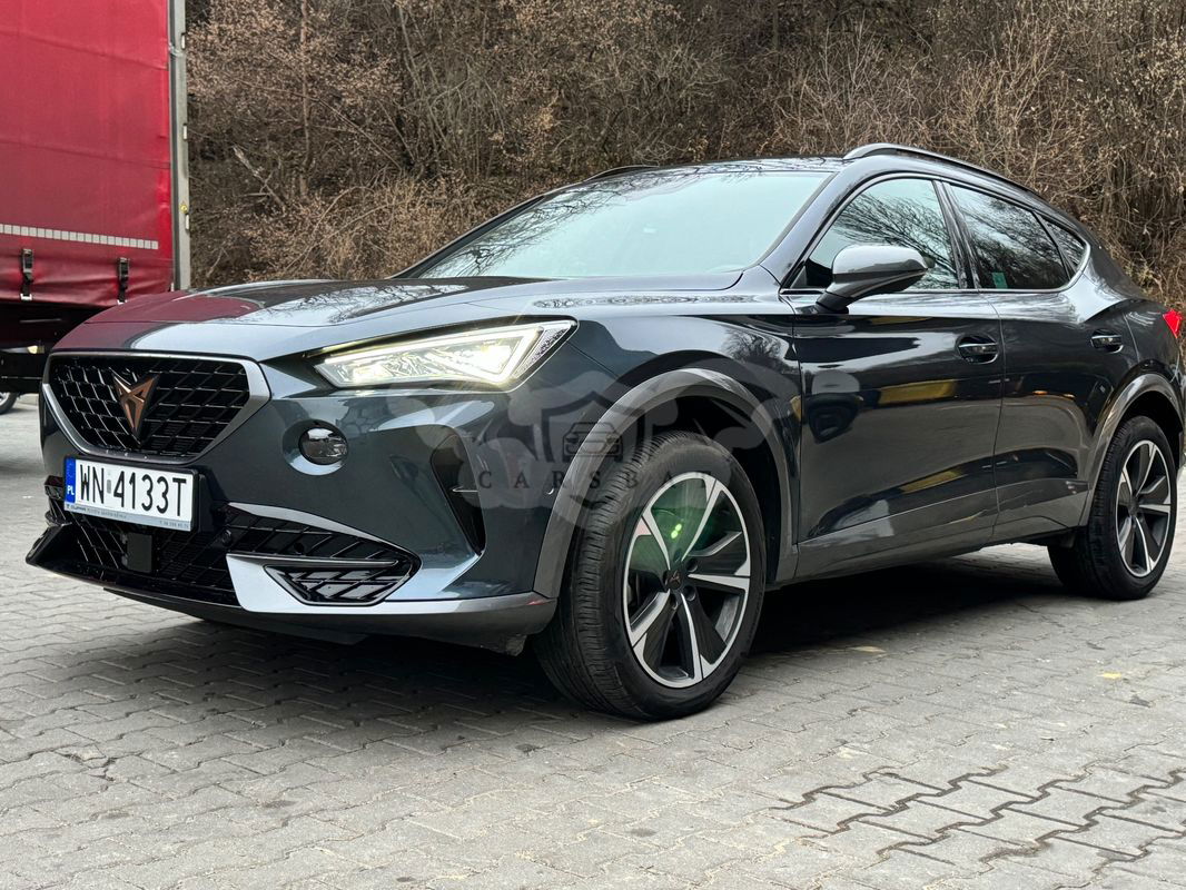 Cupra Formentor 2.0 TSI 4Drive DSG 2023