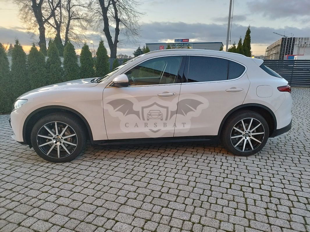 Alfa Romeo Stelvio 2.0 Turbo Business Q4 2019